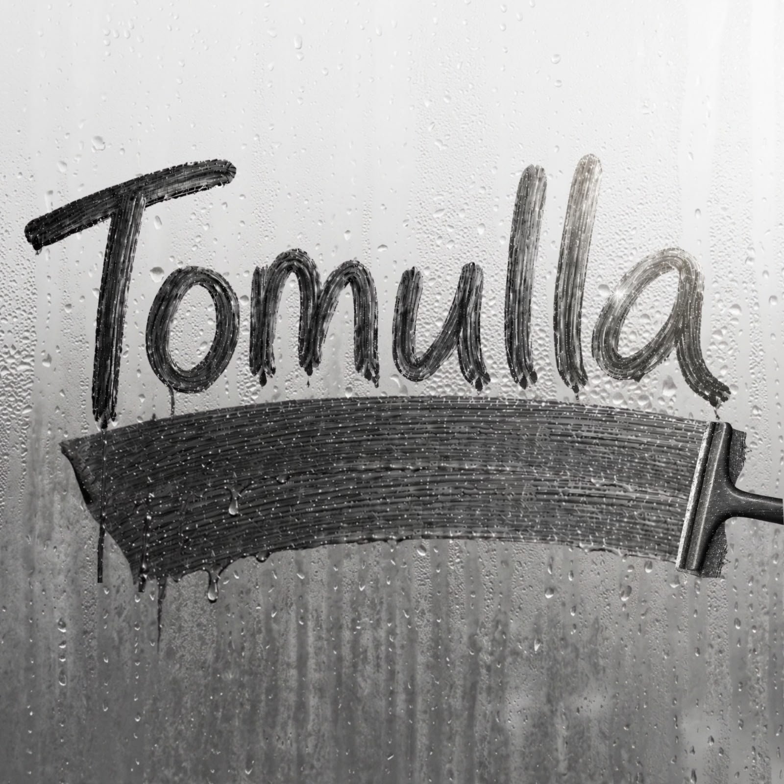 tomulla siivouspalvelut
